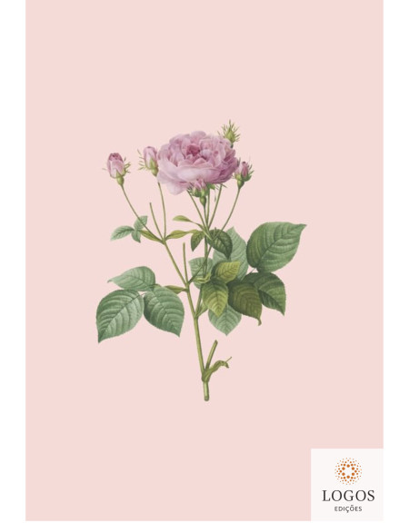 Bíblia Sagrada - ACF - capa dura - Rosa Saron. 9786586109979