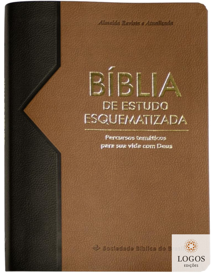 Bíblia de Estudo Esquematizada. 7899938423912